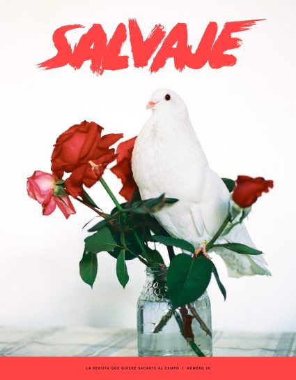 Salvaje nº 20