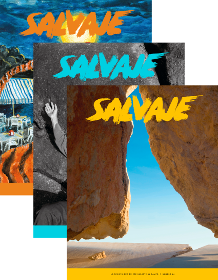 Salvaje nº 24 + 23 + 22