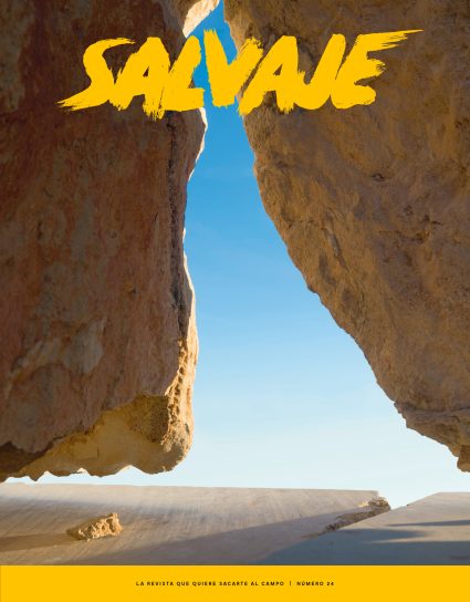 Salvaje nº 24